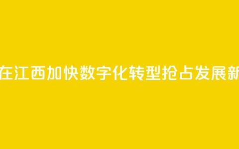 台商在江西:加快数字化转型 抢占发展新赛道 第1张 台商在江西:加快数字化转型 抢占发展新赛道 第1张