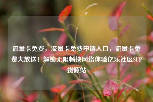 流量卡免费，流量卡免费申请入口，流量卡免费大放送！解锁无限畅快网络体验亿乐社区SUP货源站  第1张